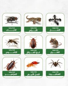 أفضل شركة مكافحة حشرات أفضل شركة مكافحة حشرات بالرياض