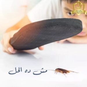 أفضل شركة مكافحة حشرات أفضل شركة مكافحة حشرات بالرياض