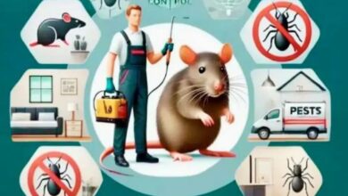 أفضل شركة مكافحة حشرات بالرياض