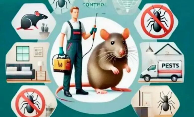 أفضل شركة مكافحة حشرات بالرياض