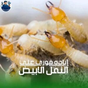 فريق أفضل شركة مكافحة حشرات بالرياض جاهز للعمل.