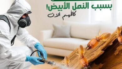 "صورة لأحد الفنيين في أفضل شركة مكافحة حشرات بالرياض وهو يقوم بالرش الآمن."