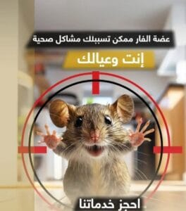 شركة مكافحة فئران بالرياض إبادة نهائية بضمان