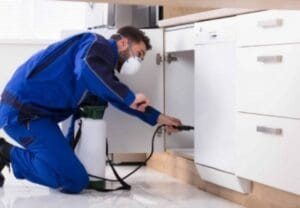 شركة مكافحة صراصير بالرياض تقدم نتائج مضمونة