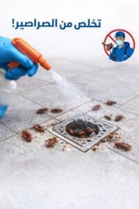 عملية رش دقيقة للمبيدات داخل فتحات الصرف والبالوعات للتخلص من الصراصير من مصدرها.