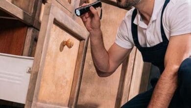 أفضل شركة مكافحة صراصير بالرياض تقوم بفحص المطبخ وإبادة الحشرات - شركة قوة الطبيعة