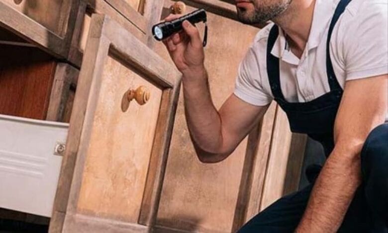 أفضل شركة مكافحة صراصير بالرياض تقوم بفحص المطبخ وإبادة الحشرات - شركة قوة الطبيعة