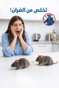 امرأة خائفة من وجود فئران في المطبخ وتبحث عن أفضل مبيد للفئران في الرياض