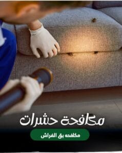 شركة مكافحة بق الفراش بالرياض فحص المراتب والأثاث.