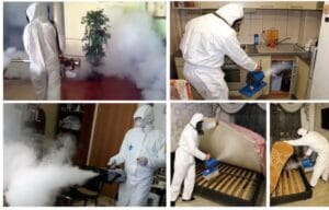 خدمات مكافحة الحشرات المتكاملة بحي حطين بالرياض- قوة الطبيعة.