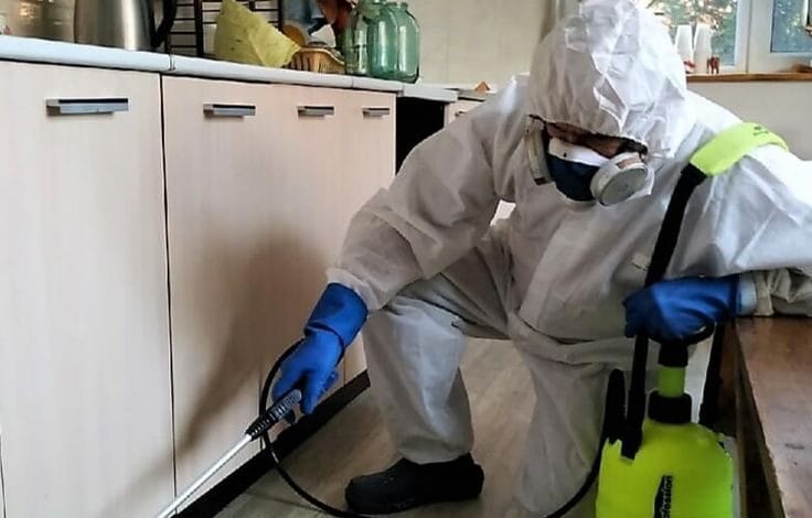 رش مبيدات بحي حطين - شركة قوة الطبيعة للقضاء على الصراصير