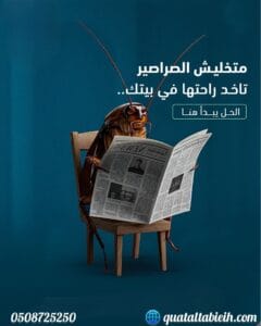 صرصور في المنزل يبرز أهمية الاستعانة بخدمات مكافحة حشرات بحي النخيل.