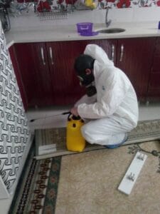 شركة مكافحة حشرات حي العارض بالرياض - قوة الطبيعة