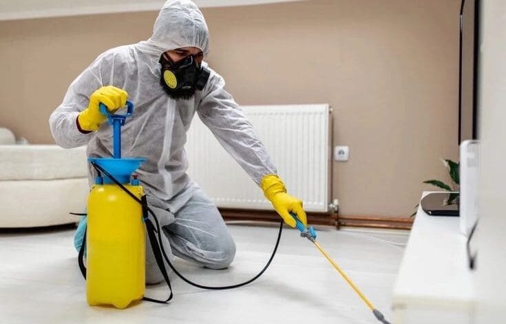 فني خبير يقوم بعملية مكافحة حشرات بحي النخيل باستخدام معدات آمنة.