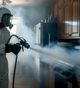 رش المبيدات في المطابخ للقضاء على الصراصير والحشرات الصغيرة بالرياض.