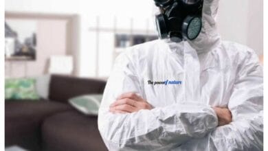 أفضل شركة مكافحة حشرات بحي الغدير بالرياض تستخدم أقوى المبيدات الآمنة