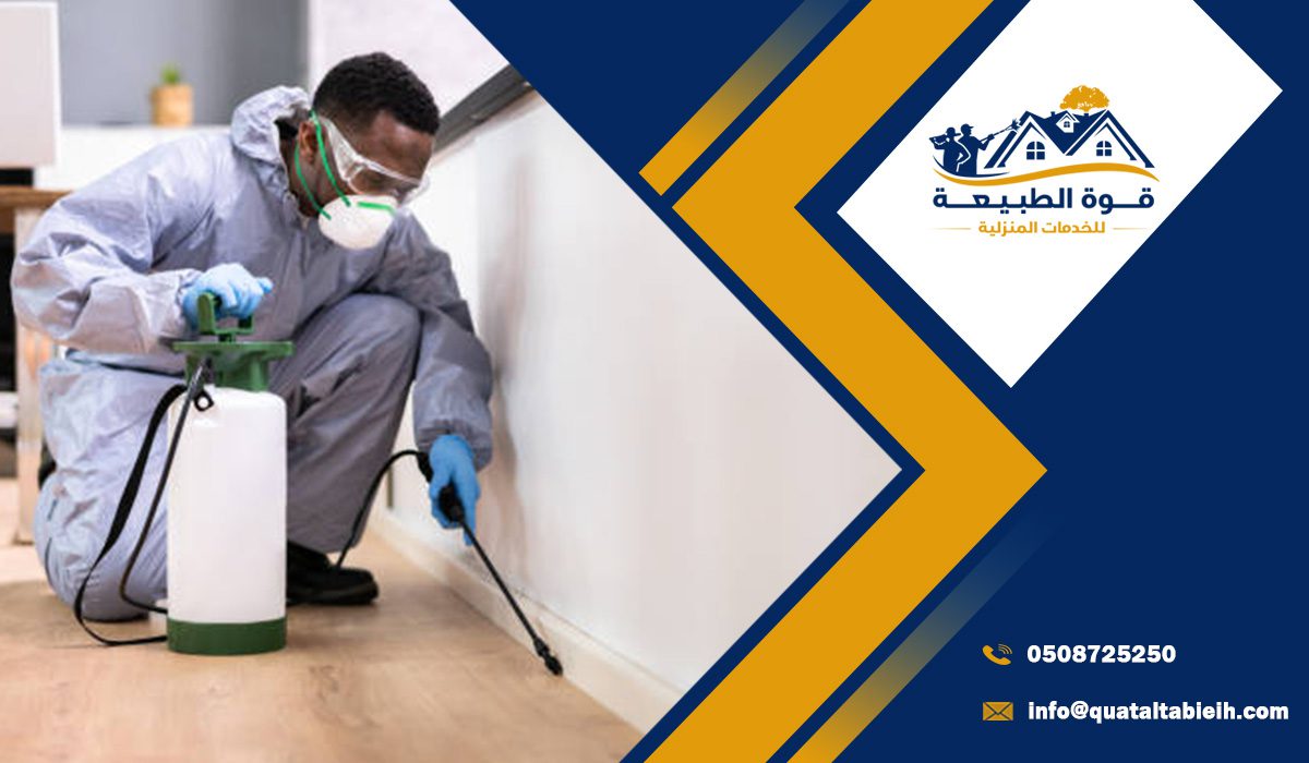 أنواع الحشرات الشائعة في شمال الرياض وأضرارها