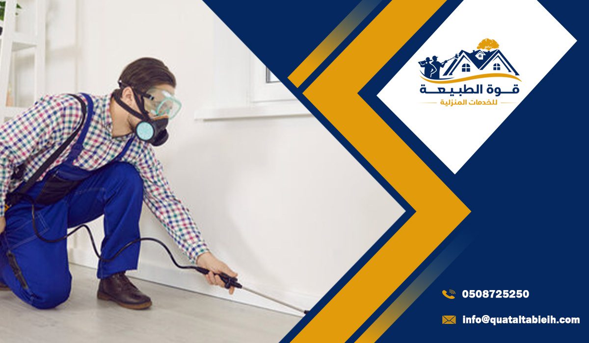 اسعار مكافحة الحشرات في جنوب الرياض