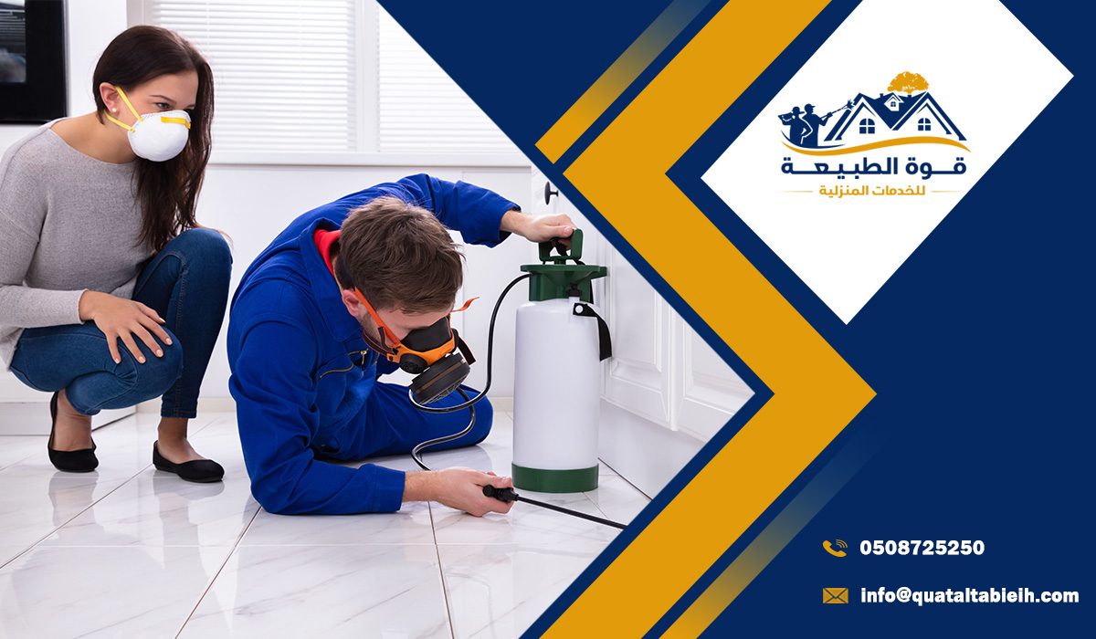افضل شركة مكافحة حشرات في شمال الرياض