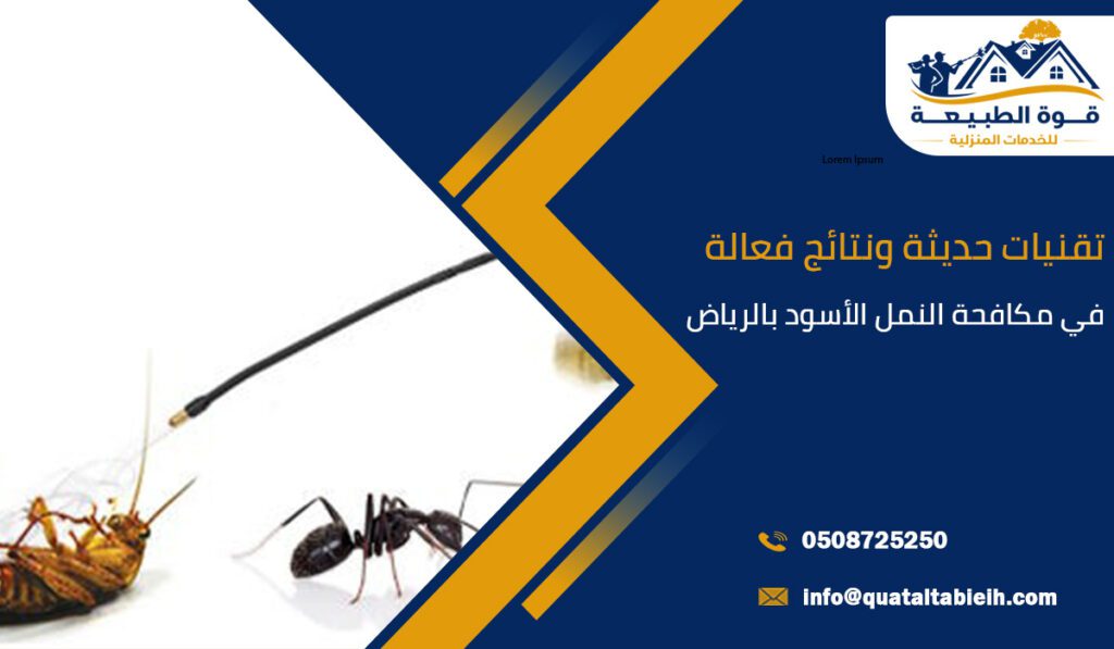 تقنيات حديثة ونتائج فعالة في مكافحة النمل الأسود بالرياض