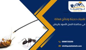 تقنيات حديثة ونتائج فعالة في مكافحة النمل الأسود بالرياض