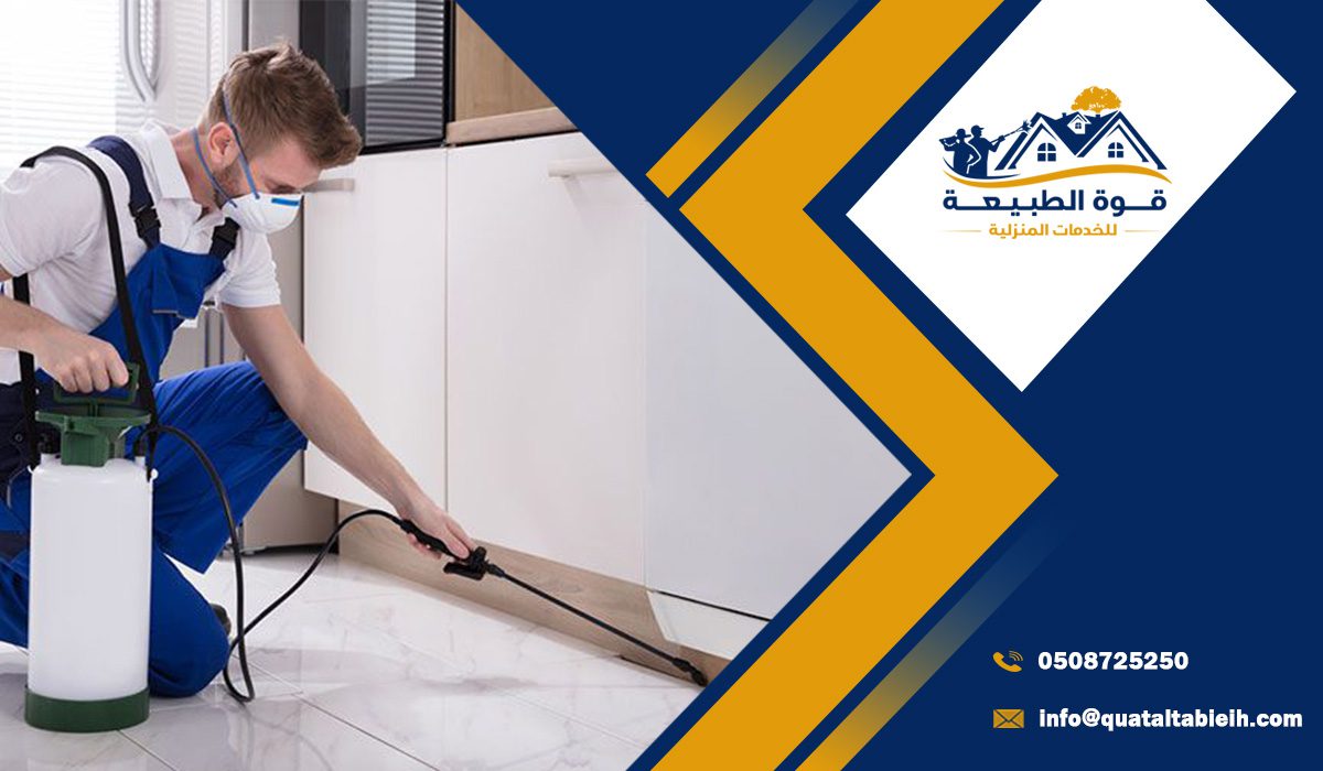 لماذا تحتاج إلى شركة مكافحة الحشرات في جنوب الرياض متخصصة؟