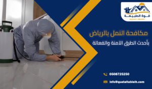 مكافحة النمل بالرياض بأحدث الطرق الآمنة والفعالة 100%