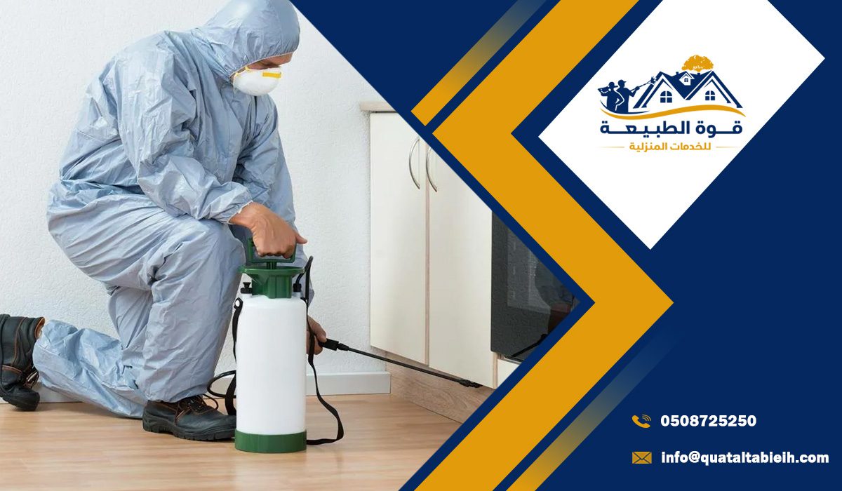 أفضل شركة مكافحة حشرات جنوب الرياض