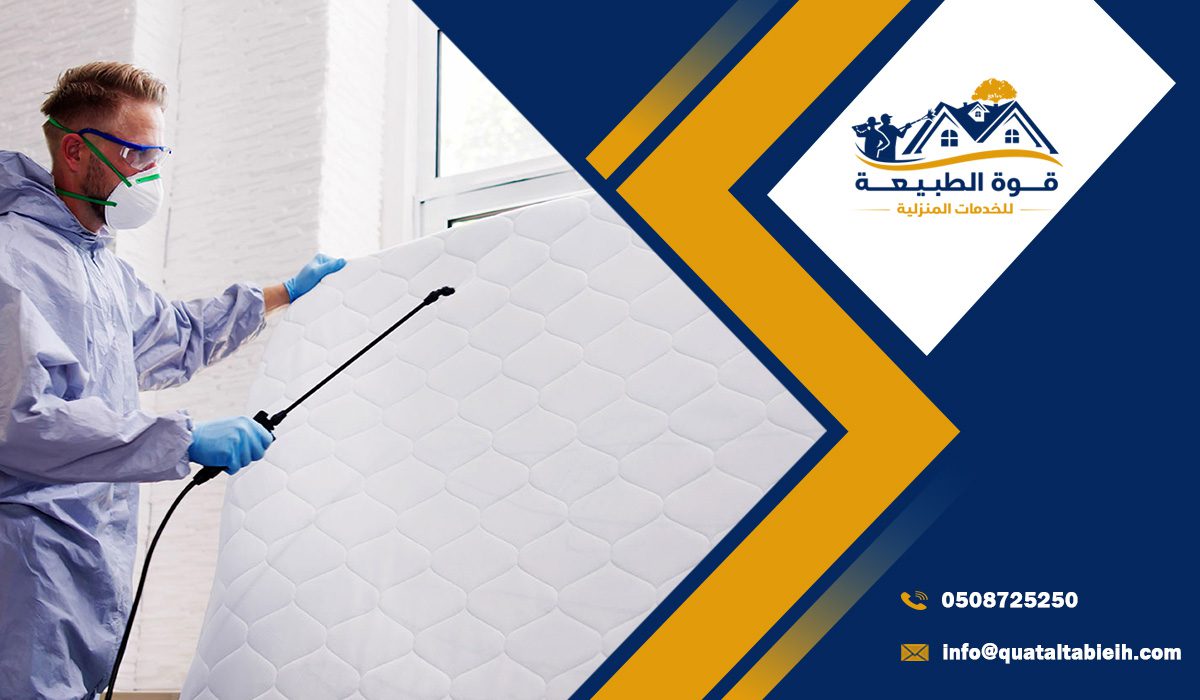 أهم مميزات افضل شركة مكافحة البق بالرياض
