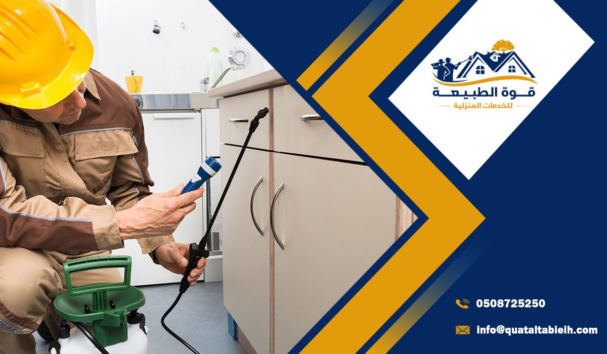 خدمات مكافحة حشرات غرب الرياض بتقنيات متطورة