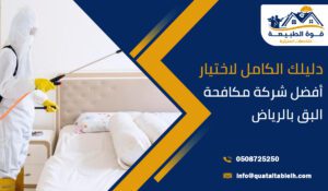 دليلك الكامل لاختيار أفضل شركة مكافحة البق بالرياض