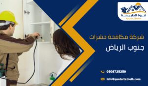 شركة مكافحة حشرات جنوب الرياض