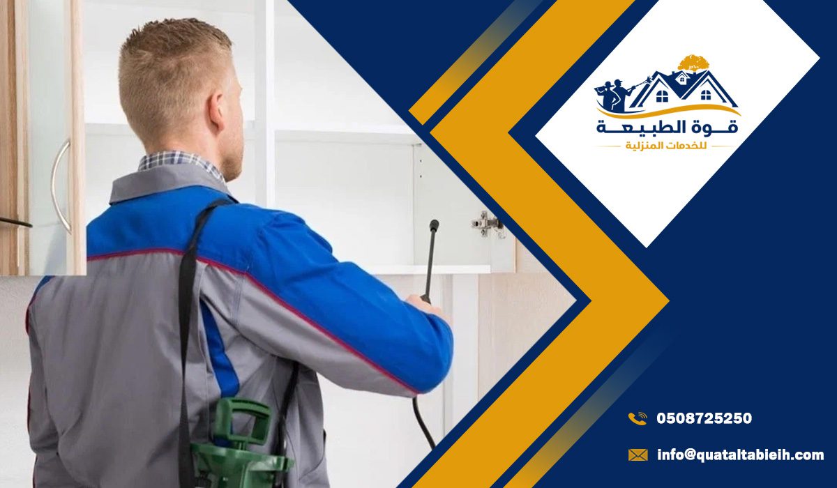 طرق معالجة النمل الأبيض والنمل في شمال الرياض