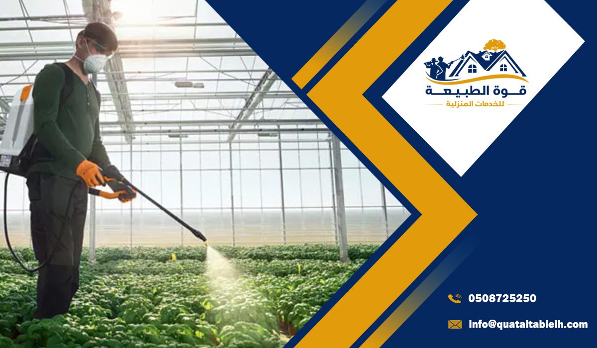 لماذا يفضل سكان الرياض الرش بدون رائحة؟                                            