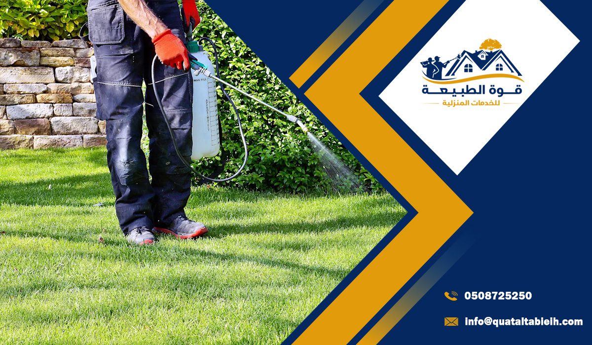 مميزات افضل شركة مكافحة النمل الابيض بالرياض