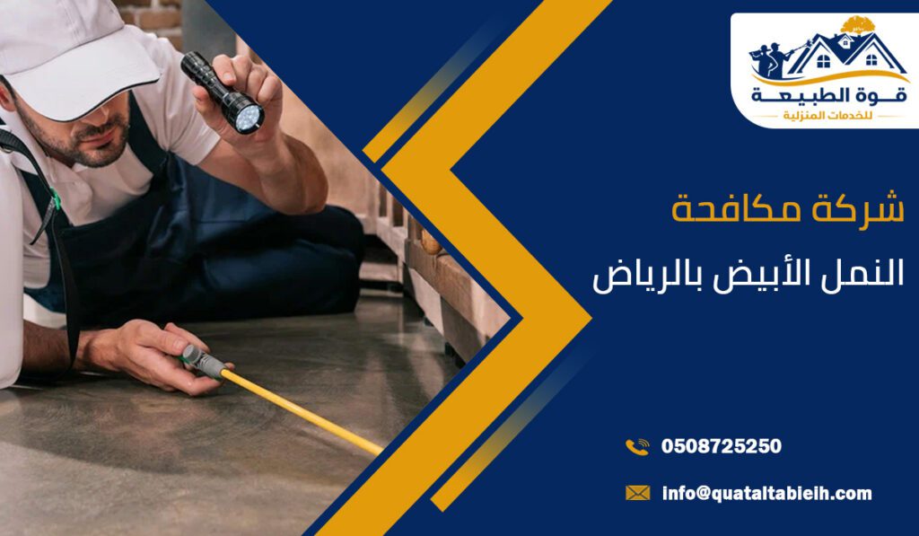 شركة مكافحة النمل الأبيض بالرياض