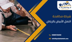 شركة مكافحة النمل الأبيض بالرياض