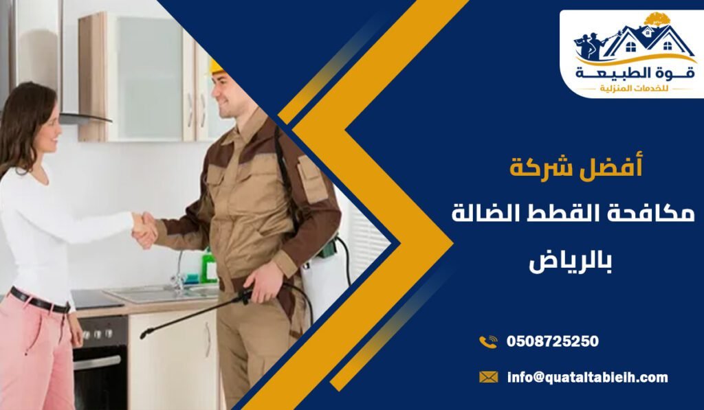 أفضل شركة مكافحة القطط الضالة بحي بني مالك بالرياض