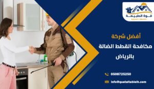 أفضل شركة مكافحة القطط الضالة بحي بني مالك بالرياض