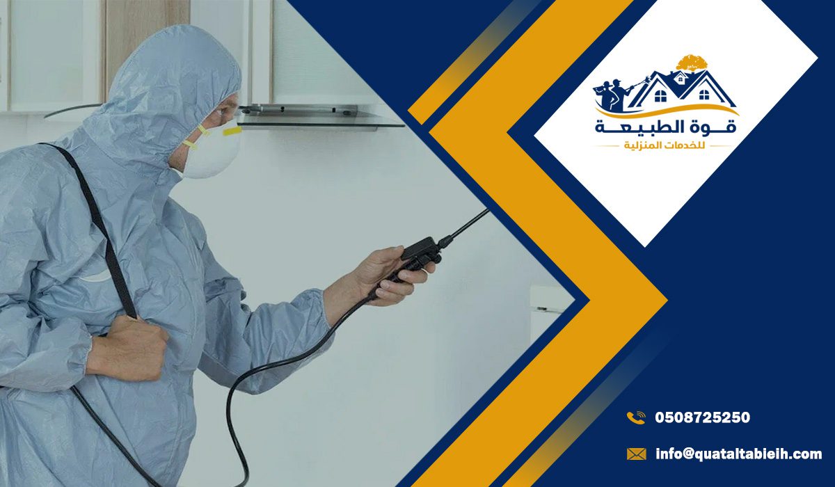 أهمية مكافحة الحشرات في المنازل بالرياض