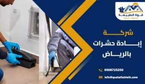شركة إبادة حشرات بالرياض: بأساليب حديثة تحمي المنازل خدمة24 ساعة