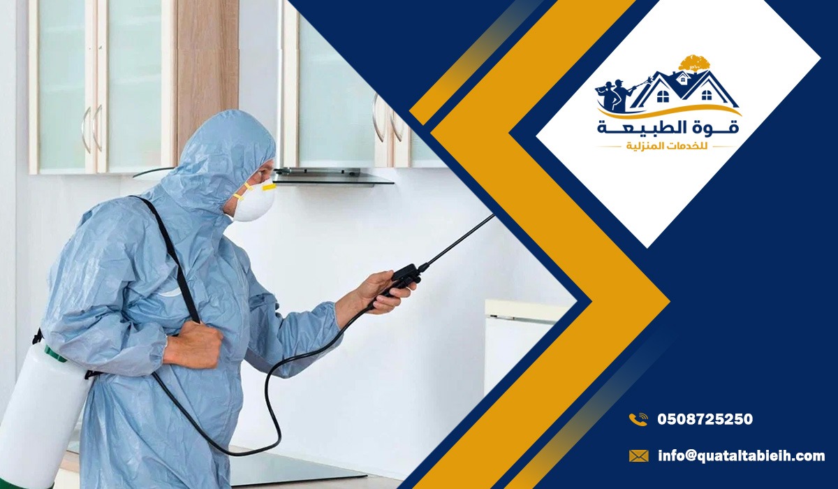 لماذا يعتبر عزل المنزل الخطوة الأولى والأساسية في مكافحة الحشرات؟