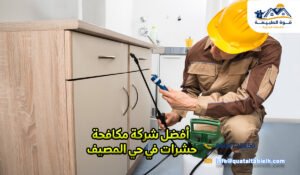 أفضل شركة مكافحة حشرات في حي المصيف