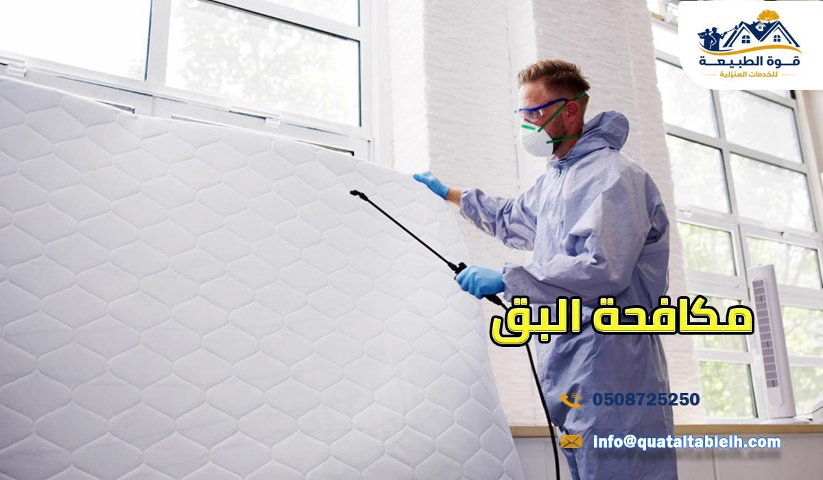 مكافحة البق بالرياض | القضاء على بق الفراش نهائيًا بأمان وفعالية