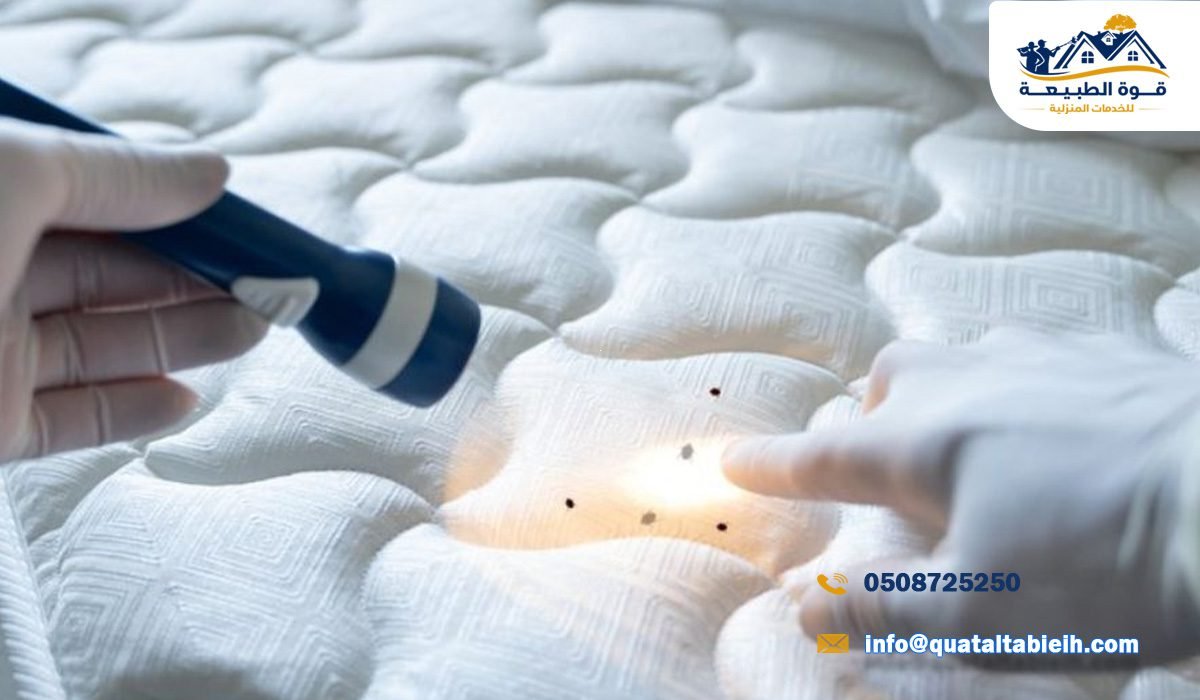 أرخص شركة مكافحة بق الفراش في حي الرحمانية بالرياض