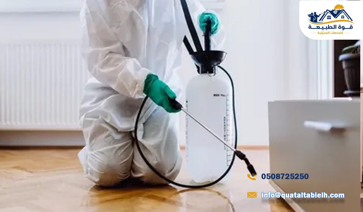 أفضل شركة مكافحة حشرات في حي حمراء بالرياض