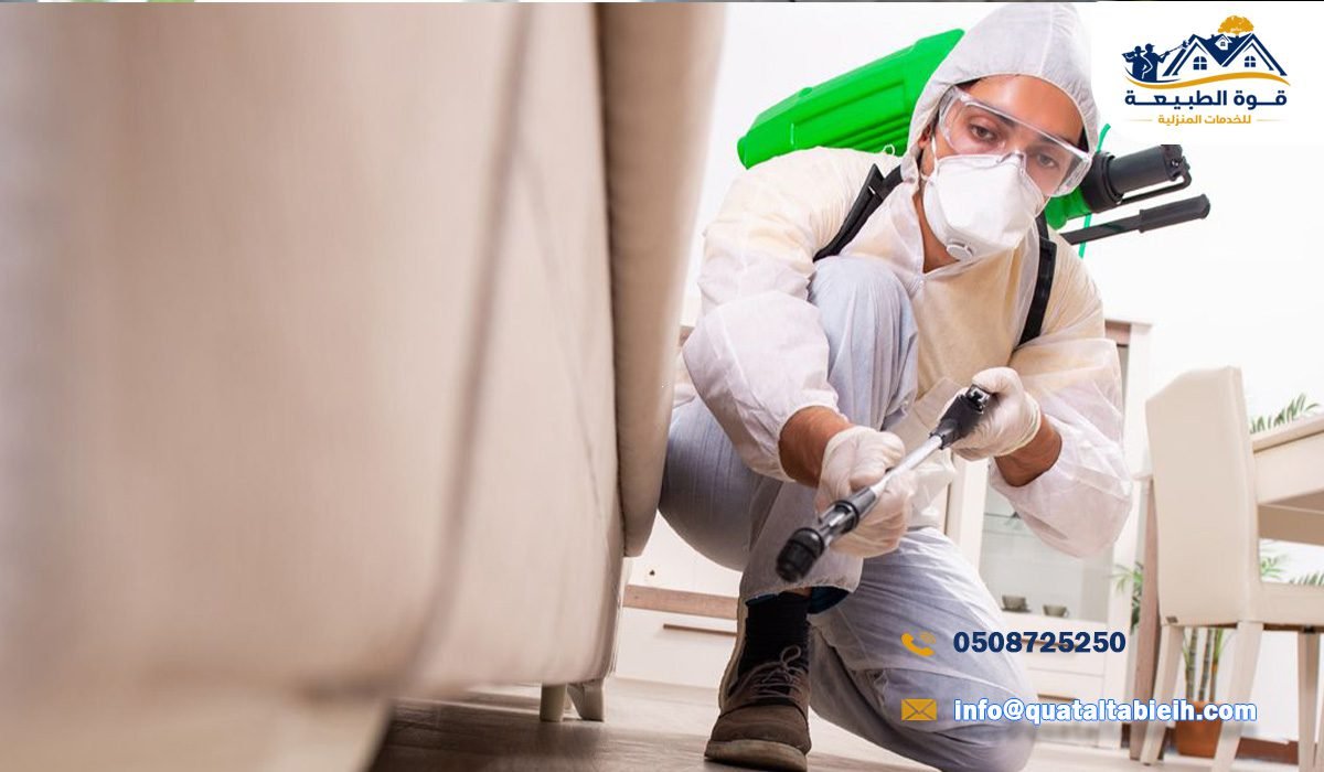 أفضل شركة مكافحة حشرات في حي عليشة بالرياض
