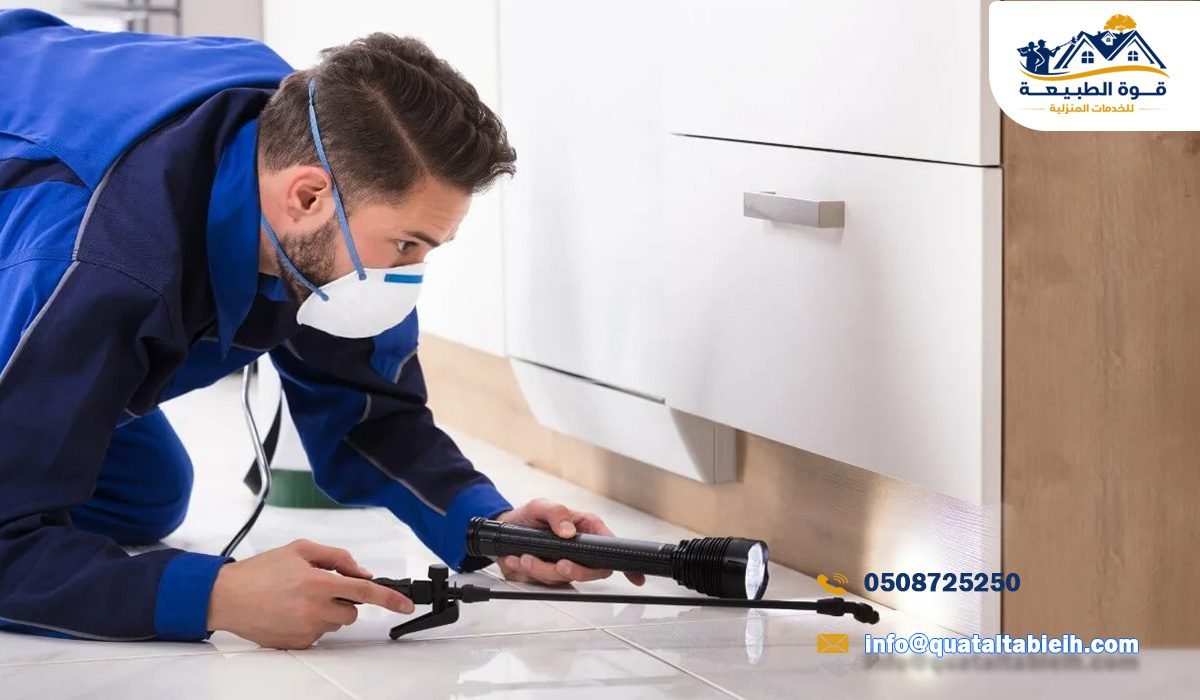 خدمات أفضل شركة مكافحة حشرات في حي المصيف بالرياض