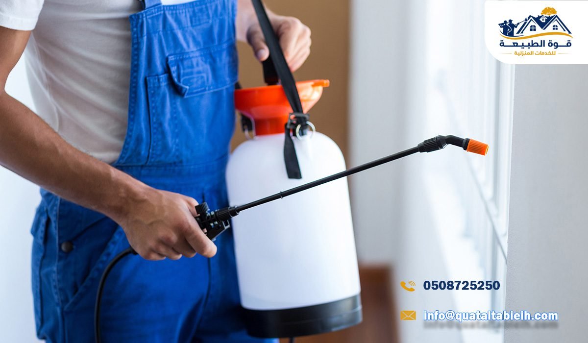 طرق مكافحة الحشرات في حي عليشة بالرياض