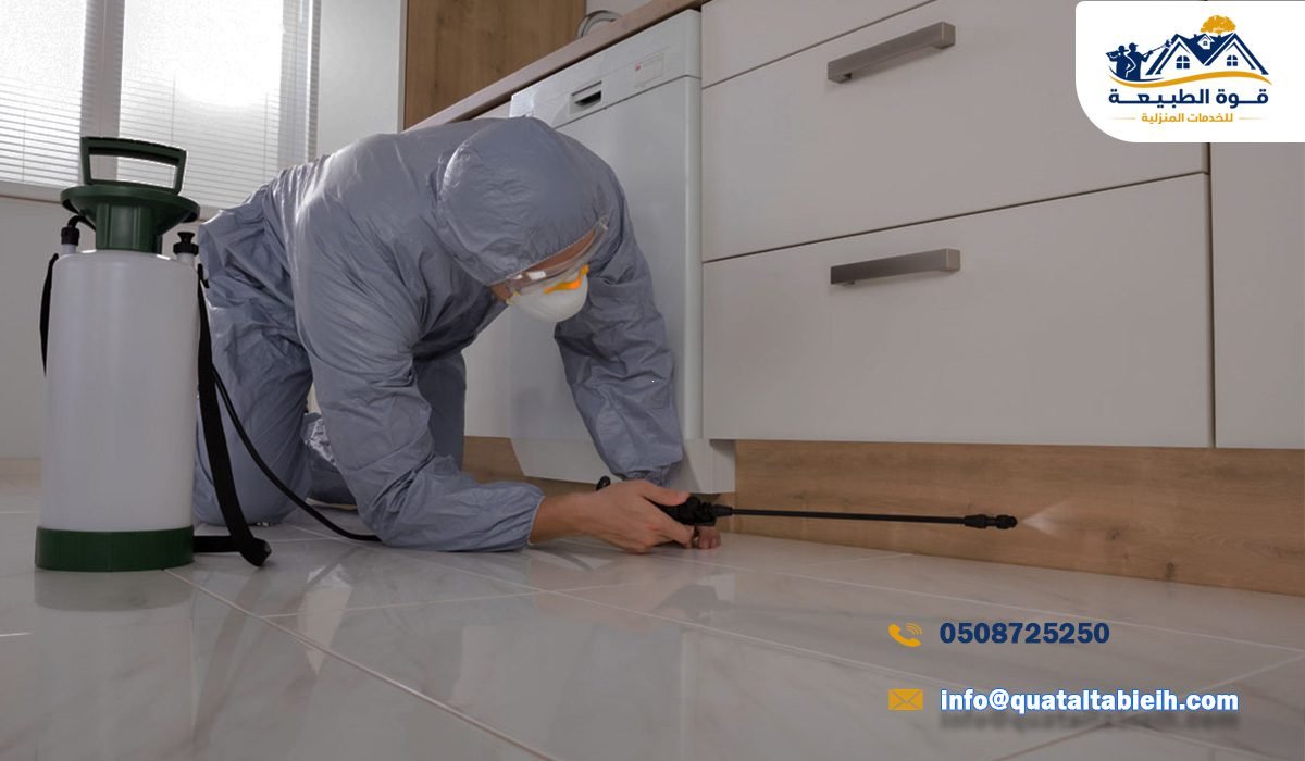 ما الذي يحدث بعد عملية رش المبيدات في المنازل
